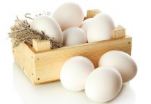 benefits of eggs for children