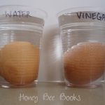 Egg Dipped in Vinegar