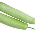 Bottle-Gourd
