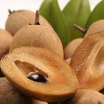 Sapodilla