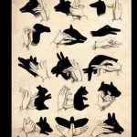 Shadow puppets with hands