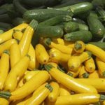 Zucchini