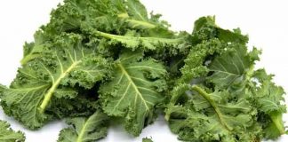 benefits of kale for toddlers