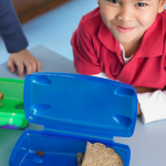 lunch box ideas for preschoolers