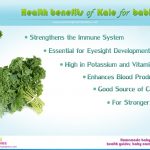 Health Benefit of Kale