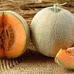 Muskmelon