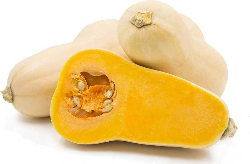 Health Benefits of Butternut Squash for Kids
