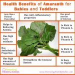 Health Benefits of Amaranth For Babies and Toddlers