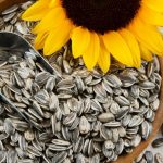 Health Benefits of Sunflower Seeds