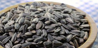 benefits of introducing sunflower seeds to kids