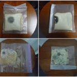 Bread Mold