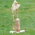 Coke And Mentos