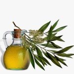 Teatree Oil