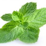 Peppermint