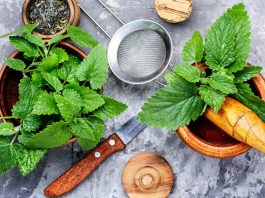 easy lemon balm recipes