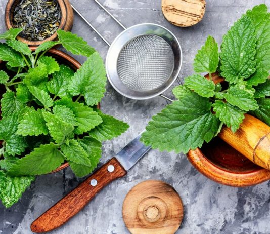 easy lemon balm recipes