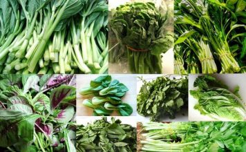best foods to increase breastmilk supply