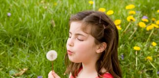 dandelion benefits for infants