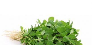 Health Benefits of Purslane for Children