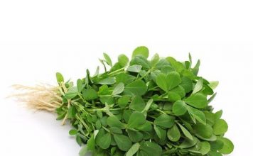 Health Benefits of Purslane for Children