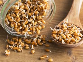 Health Benefits of Wheat Germ for Children