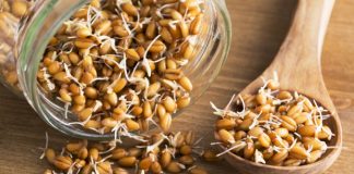 Health Benefits of Wheat Germ for Children