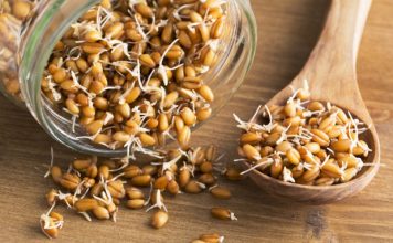 Health Benefits of Wheat Germ for Children