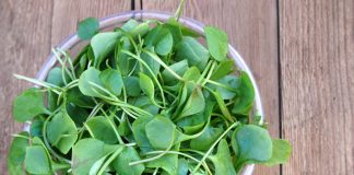 Health Benefits of Watercress for Children