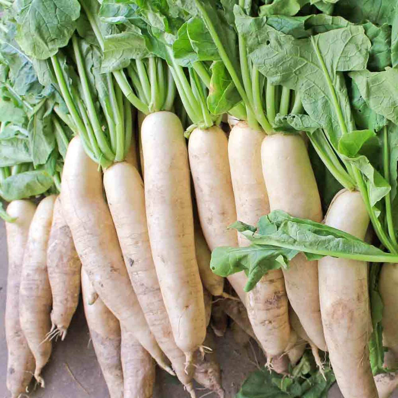 Health Benefits Of Daikon For Children