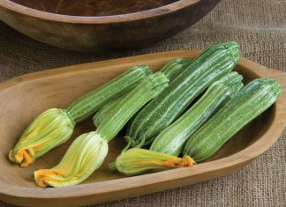 benefits of marrow vegetable