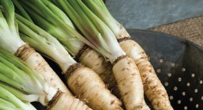 salsify benefits for kids