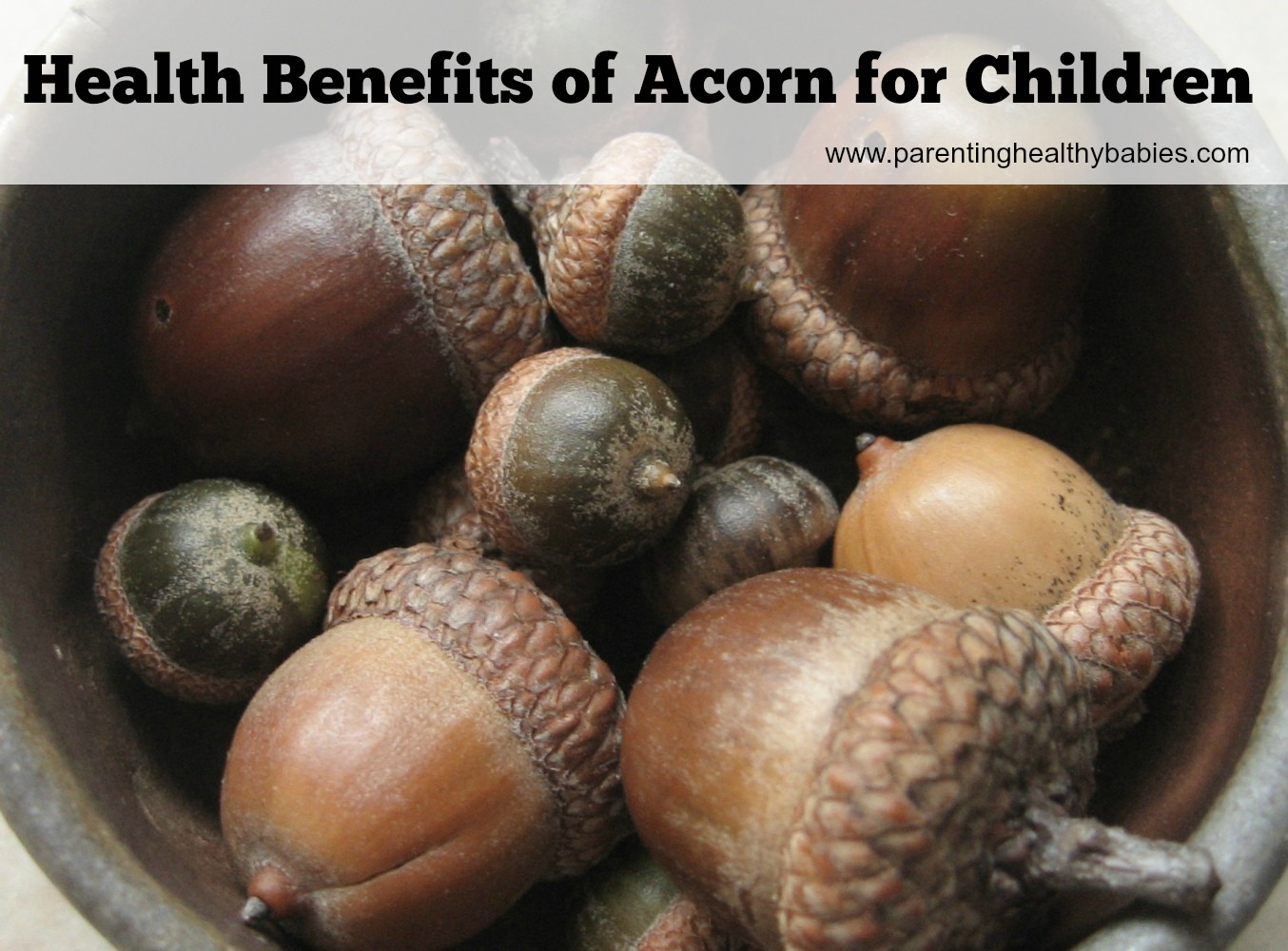 Health Benefits of Acorn for Kids