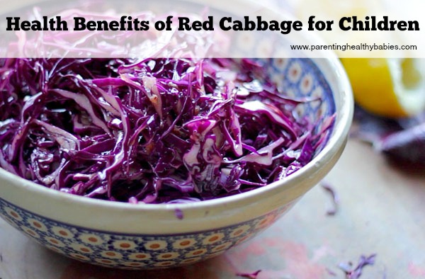 Health Benefits of Red Cabbage for Kids