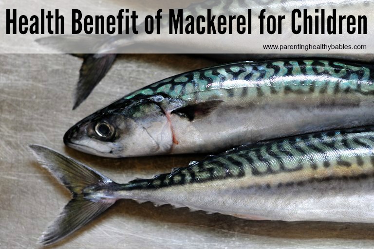 Health Benefit of Mackerel for Kids