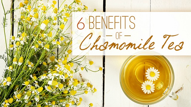 Is Chamomile Tea good for my child ?