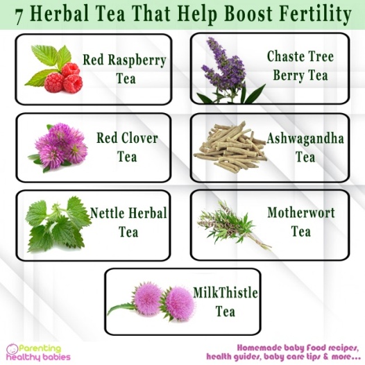 herbal tea to boost fertility
