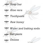 Natural Remedies To Cure Mosquito Bites In Babies