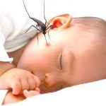 Natural Remedies To Cure Mosquito Bites In Babies