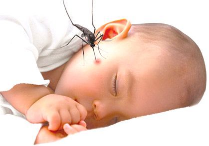Mosquito Bites In Babies