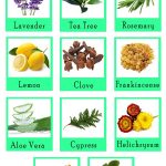 11 Essential Oils For Bruises Healing in Kids