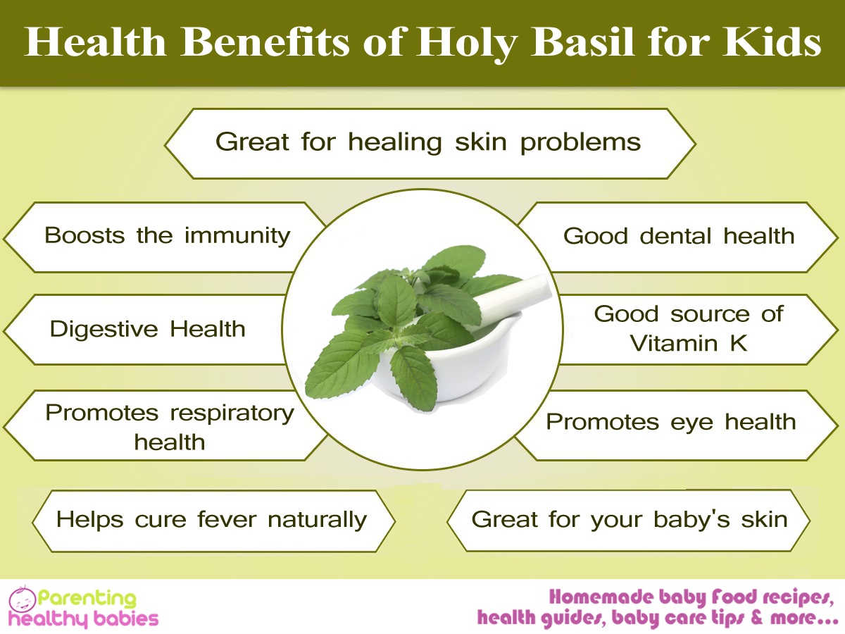 Benefits of Holy Basil for Kids