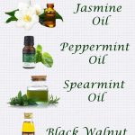 7 Essential Oils to Decrease Milk Supply