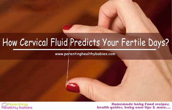 Cervical Fluid Predicts
