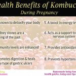 Is Kombucha Safe while Pregnant: Benefits and Risk