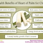 11 health benefits of Heart of palm for children