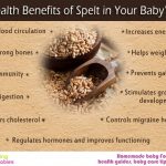 11 Health benefits of spelt in your baby’s diet