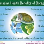 11 amazing health benefits of Borage Oil