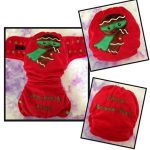 Baby’s first Christmas outfit