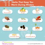 11 Herbs That Keep You Warm During Winters-01