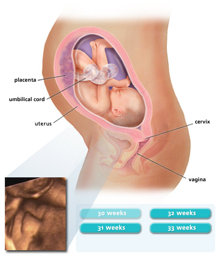 week 30 pregnancy